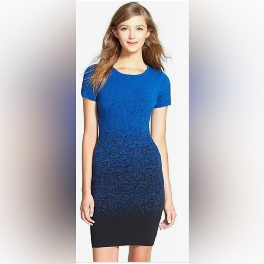 Felicity & Coco Ombré Sweater Dress